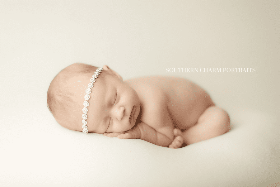 knoxville tn newborn photography