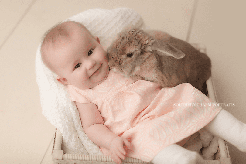 knoxville baby bunny photographer