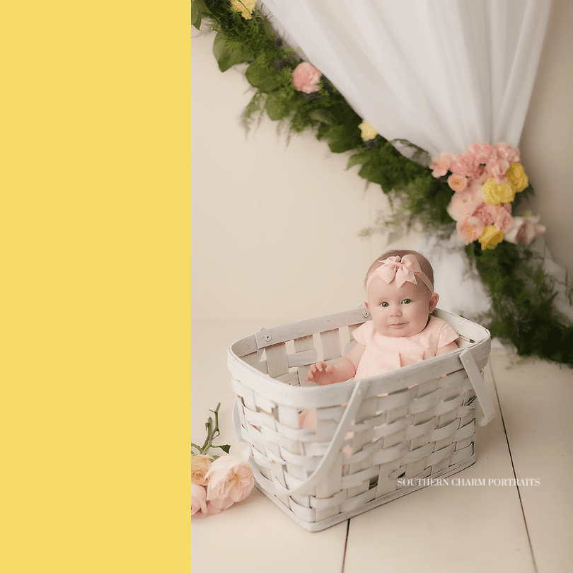 best baby photographer knoxville tn