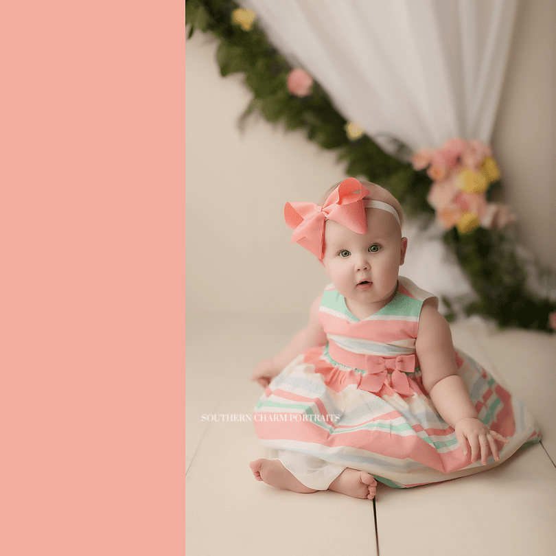 knoxville tn baby photography