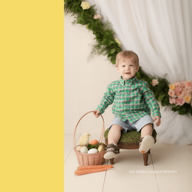 toddler photographer in knoxville tn