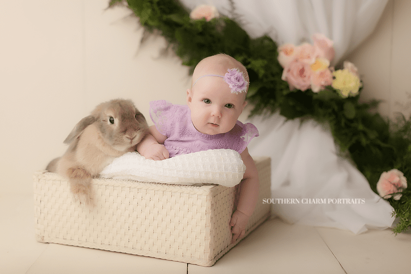 baby and bunny photographer in knoxville tn