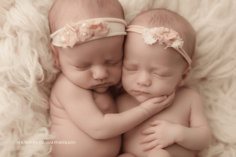 best twin newborn photography knoxville tn