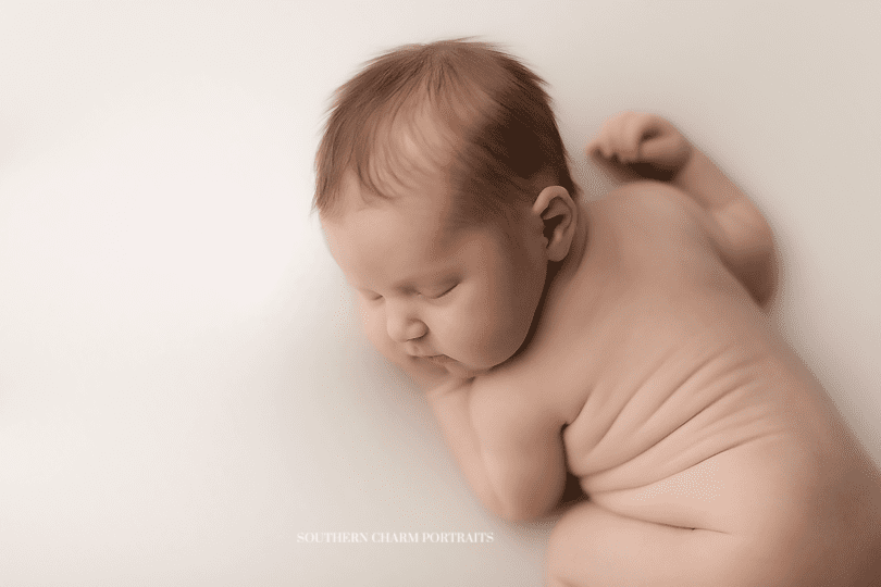 knoxville tn newborn baby portraits