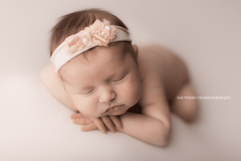 newborn photography artist knoxville