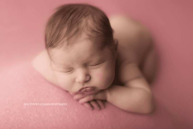 newborn portraiture knoxville tn