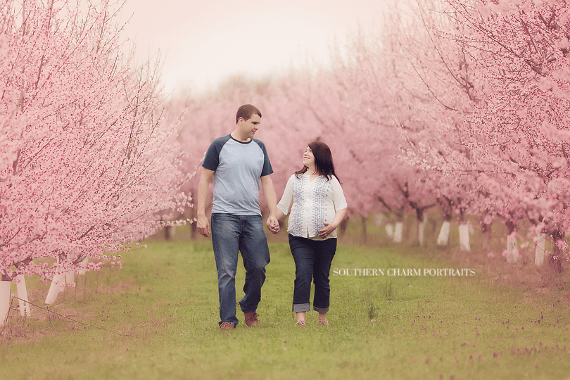 best maternity photographer knoxville