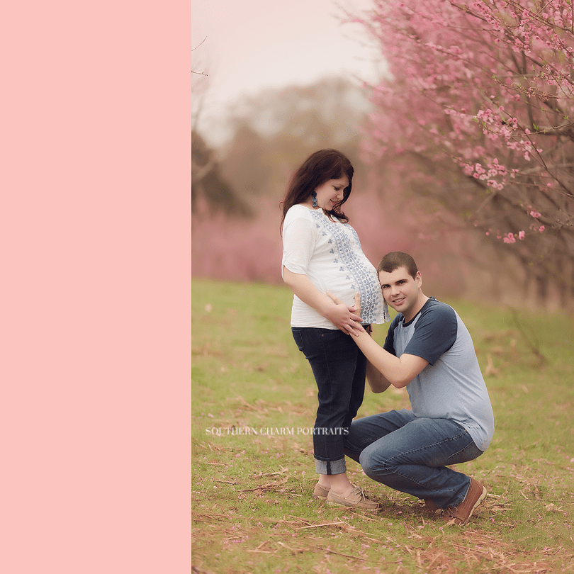 knoxvilel tn baby and maternity portraits