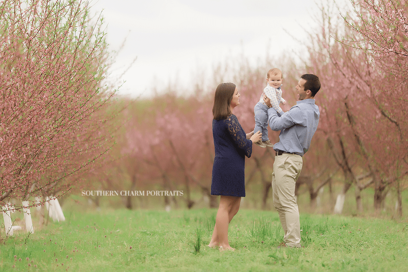 turkey creek knoxville family baby portraits