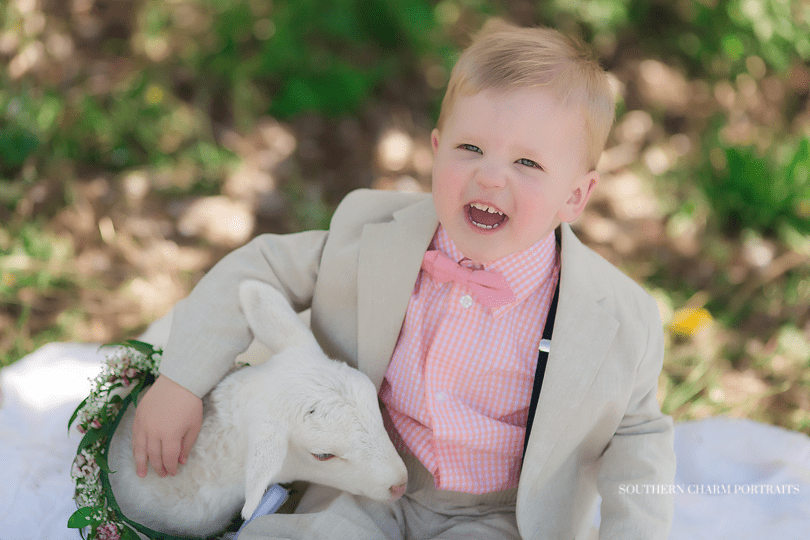 knoxville tn toddler photography