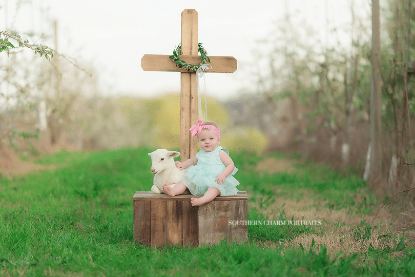 baby photography knoxville tn