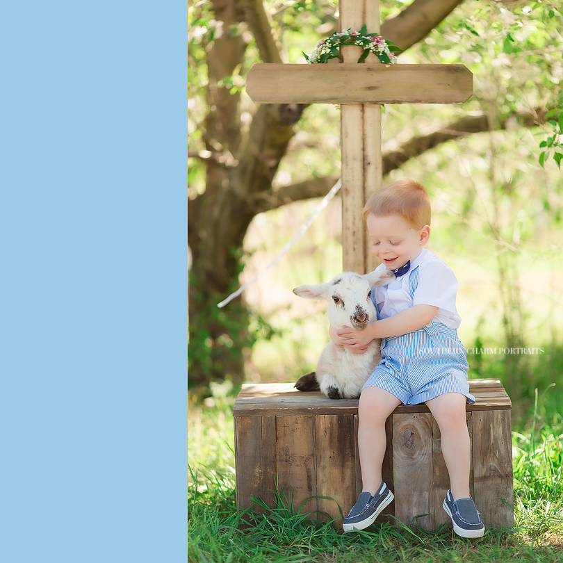 knoxville toddler photography