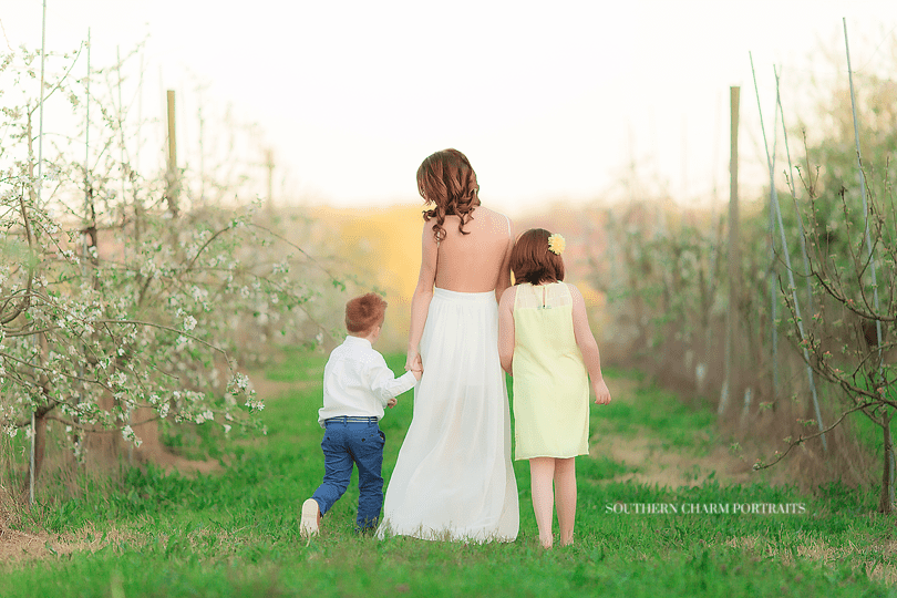 family photography in knoxville tn