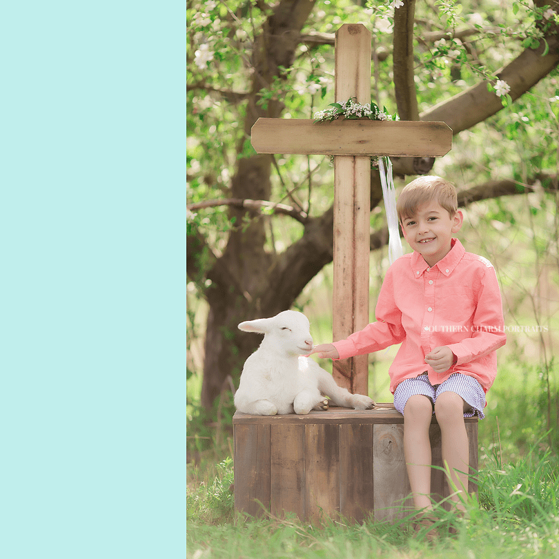 knoxville easter photography mini sessions