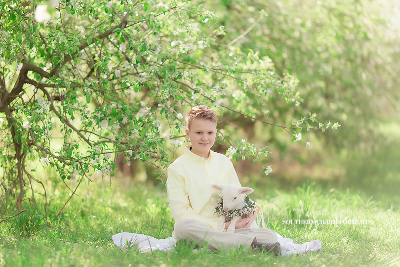 seasonal easter portraits in knoxville tn