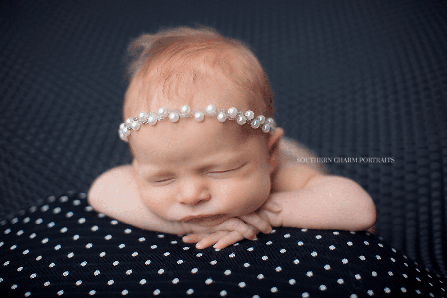 farragut newborn photographer