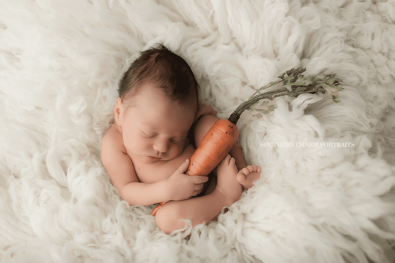 Newborn Photographer Sevierville, TN