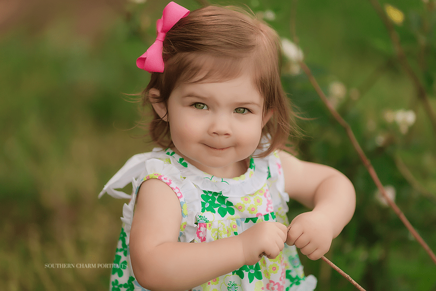 knoxville children's photography