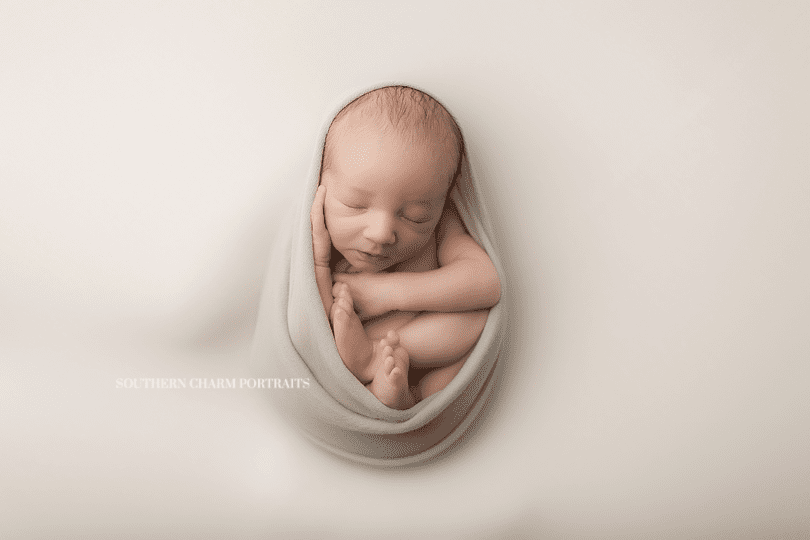 knoxville newborn photography studio