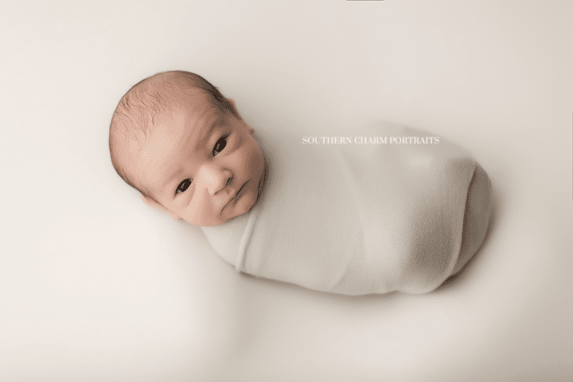newborn portraits in knoxville tn