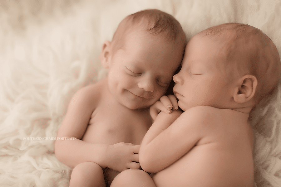 twin newborn photographer in knoxville tn