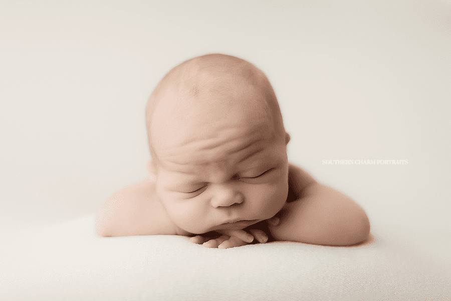 knoxville newborn baby picutres