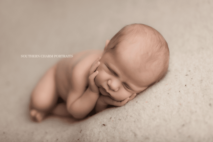best newborn photographer maryville, tn