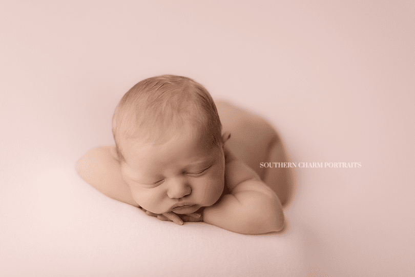 powell halls karns newborn baby photographer