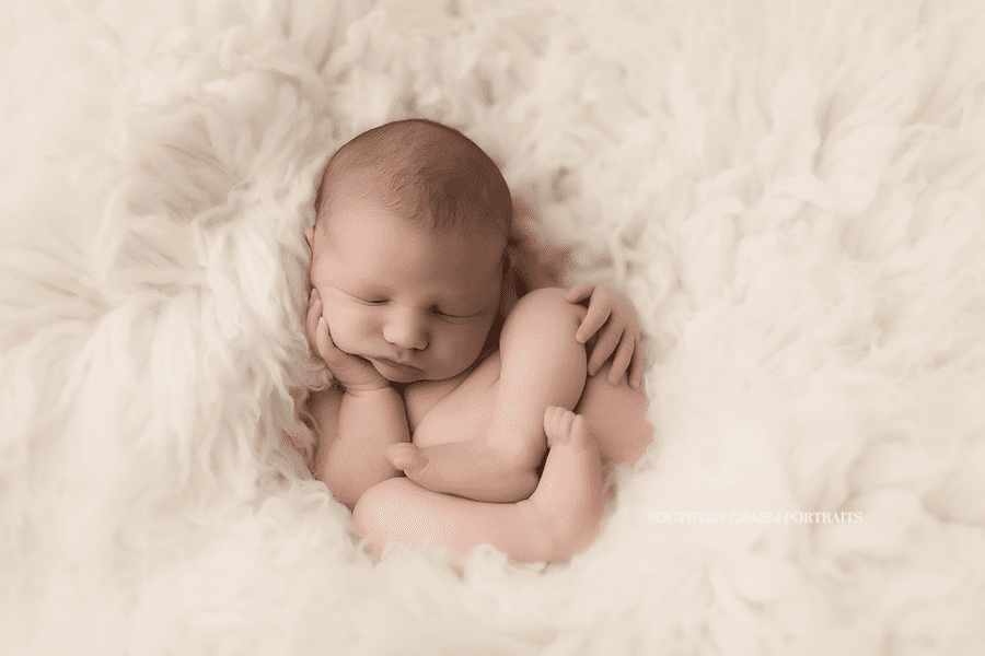 Tennessee Newborn Posing