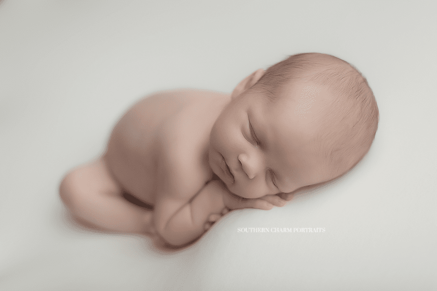 knoxville tn newborn photographers
