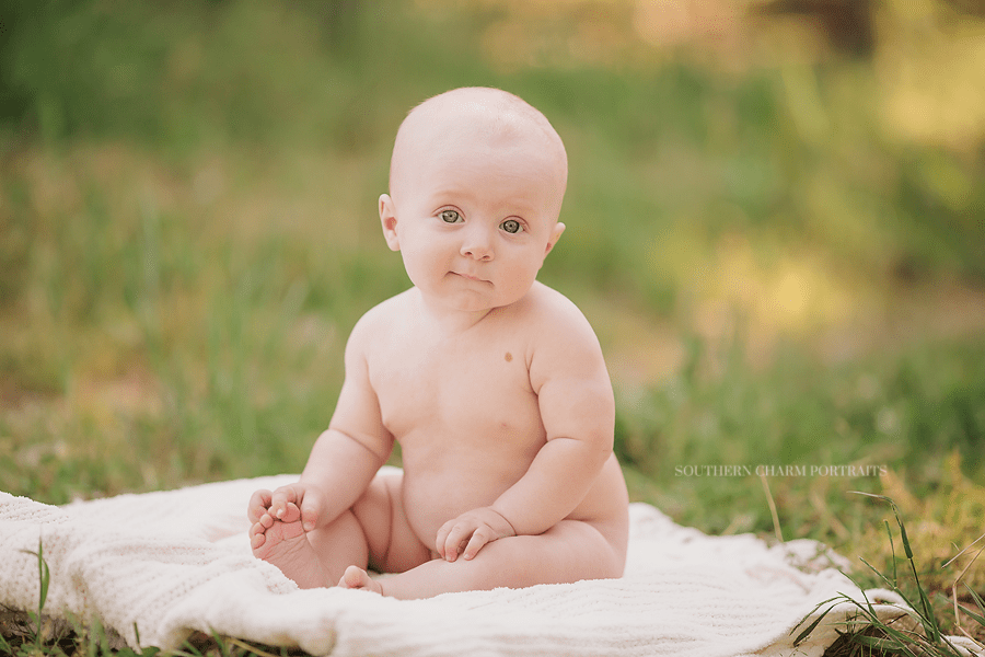 knoxville tennessee baby photography studio