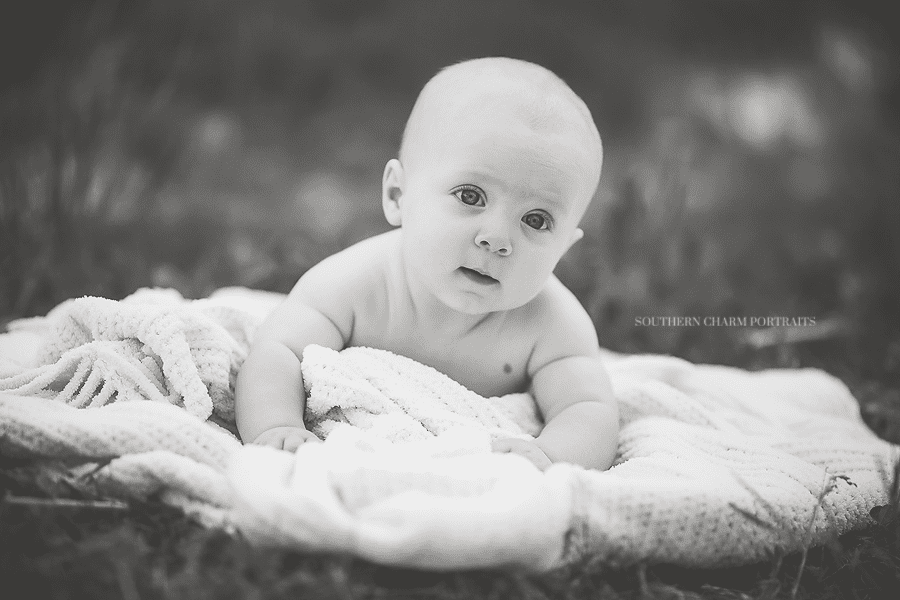 best baby photographer knoxville tn