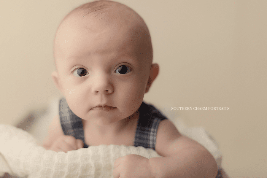 best baby photography knoxville tn