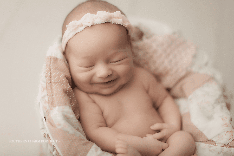 knoxville best newborn photographer