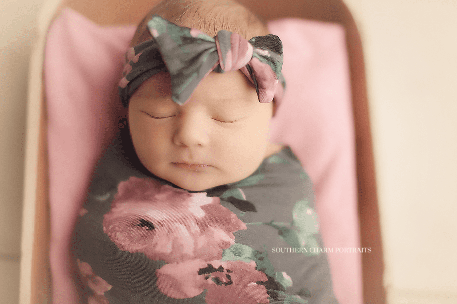 knoxville newborn photography