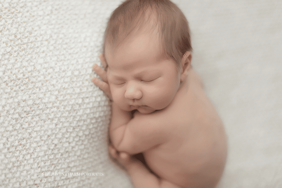 newborn photographer knoxville tn