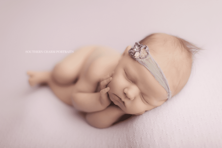tennessee newborn posing
