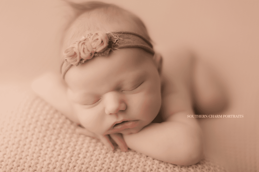 newborn photography studio knoxville