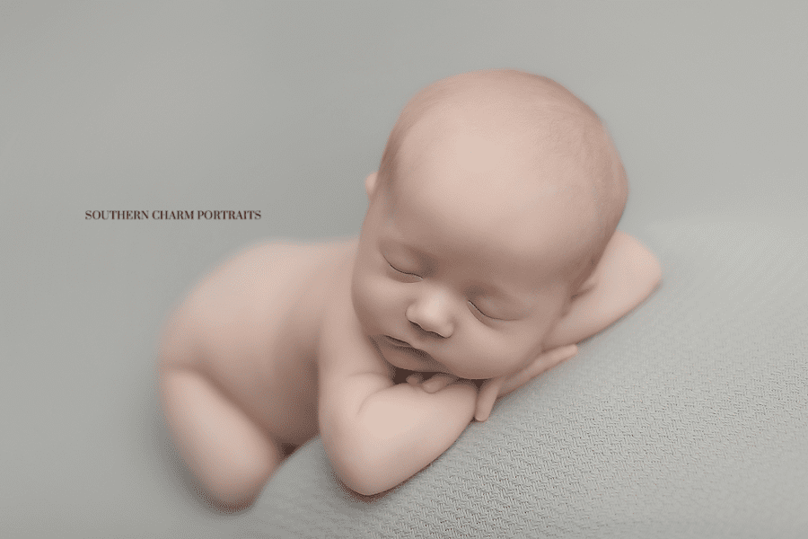 knoxville tn newborn baby portraits