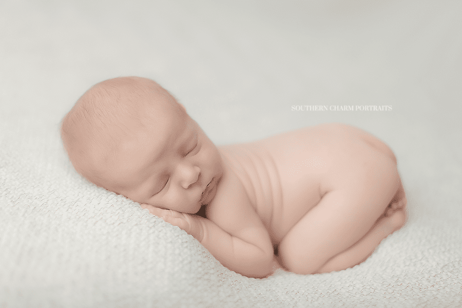 newborn posing tennessee