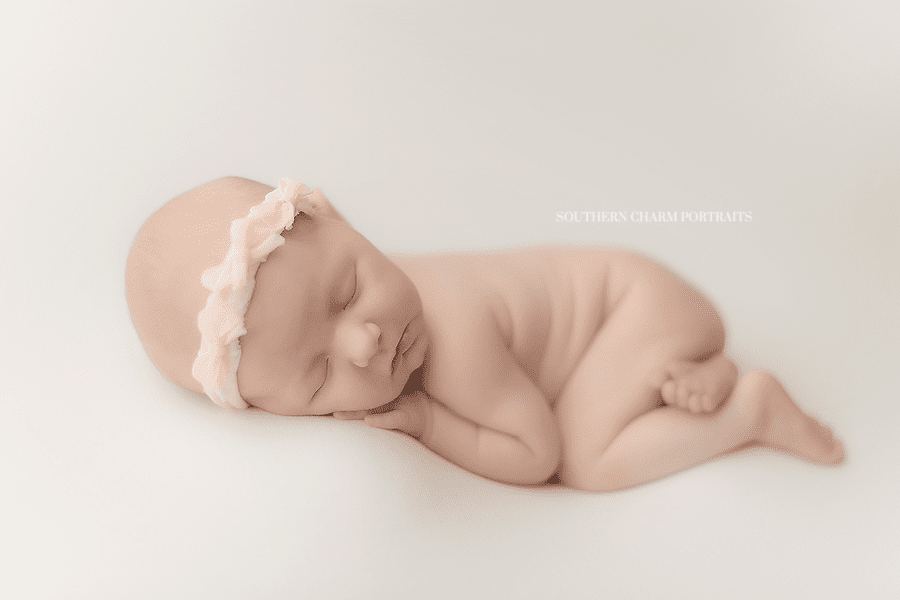 best newborn photography tennessee