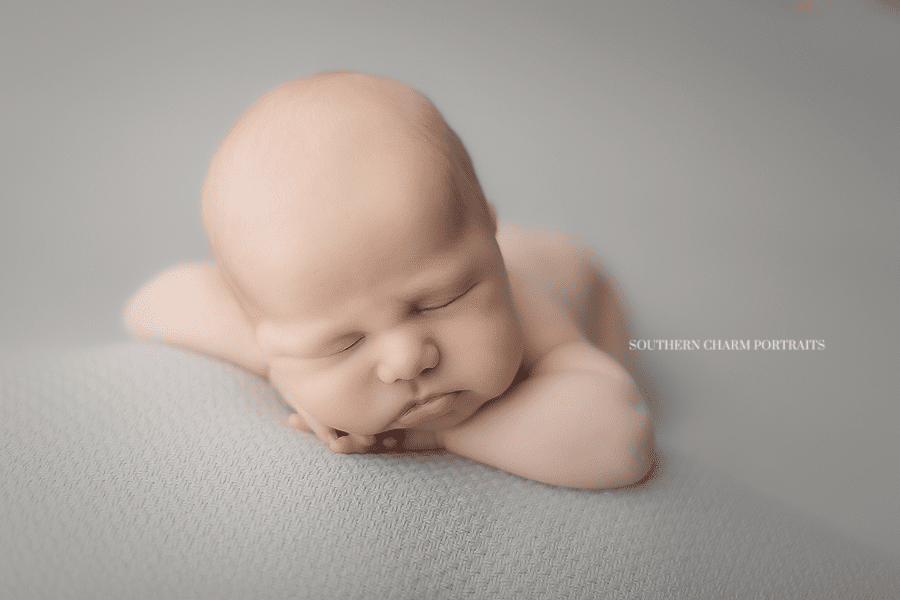 newborn photography tennesssee