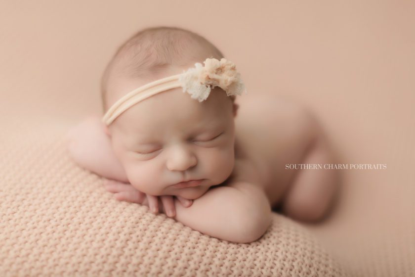 newborn photography farragut tn 