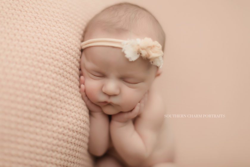 the top newborn photographer in knoxville tn 