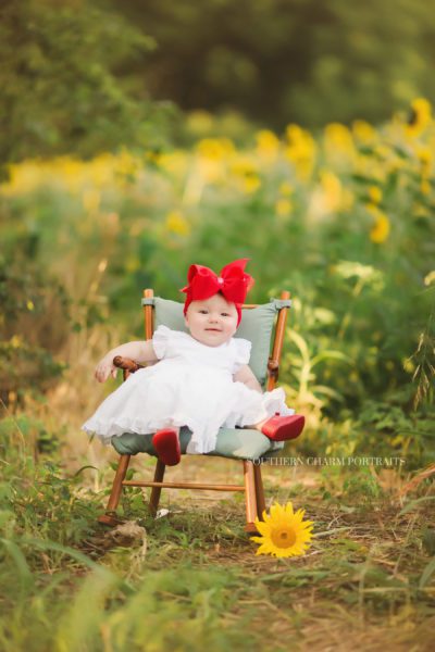baby photography studio knoxville tn 
