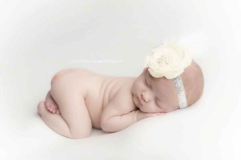 Knoxville newborn photographer 