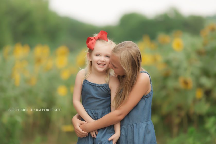 family photographer in tennessee