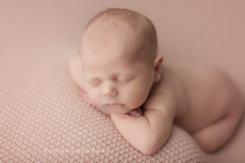 newborn photography in knoxville tn 