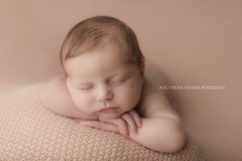 best newborn photographer in tennessee