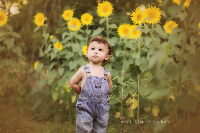 baby photographer Oneida, TN 
